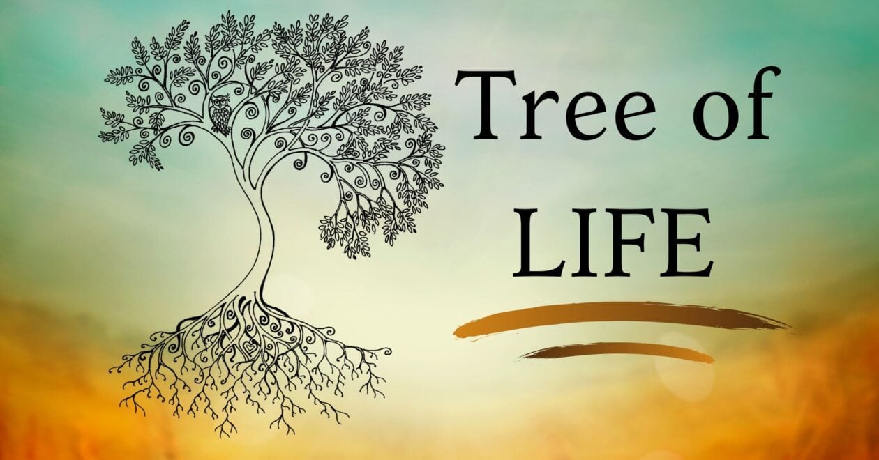 Blog: Tree of Life