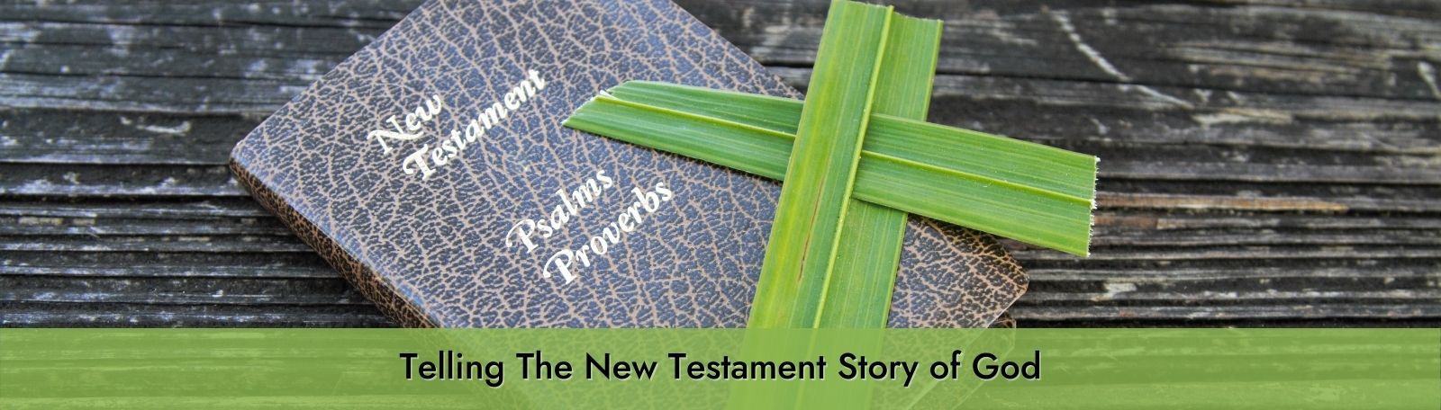 Featured image for “Telling The New Testament Story of God”